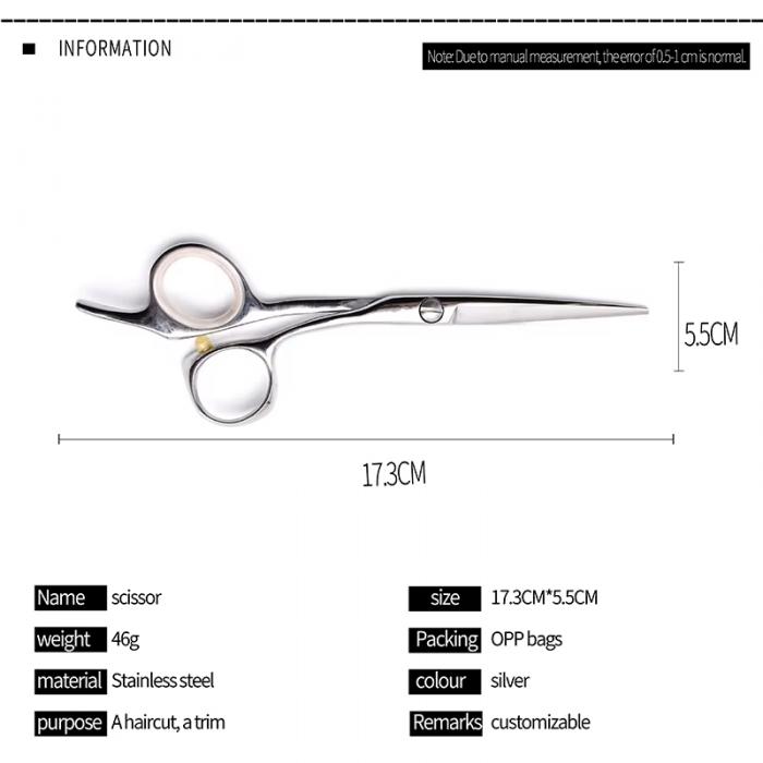 Hair Beauty Salon Hairdressing Cutting Silver 5.5 Inch Stainless Steel Scissor Manufacturers Hairdressing Scissors